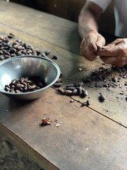 closeup elderly hands peeling cocoa beans on wooden table in Ecuador