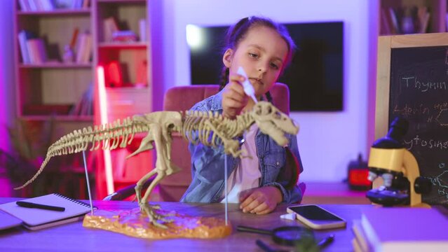 Happy preschool child gluing bones making model of tyrannosaurus at evening home. Small Caucasian girl scientist six years old in casual clothes sitting at table examine skeleton of dinosaur.