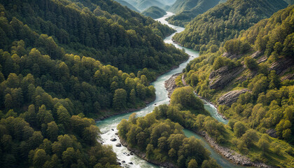 Mountain river. Mountain landscape. Panorama of a fast winding river in the middle of a mountain forest