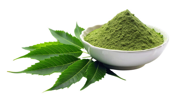 Neem leaves powder in a bowl isolated on Transparent background.