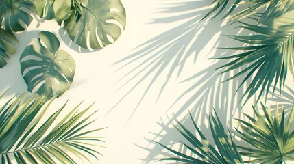 Photo sur Plexiglas Monstera Tropical palm leaves on white background. Minimal summer concept