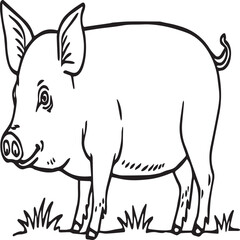 Pig coloring pages. Pig outline vector image