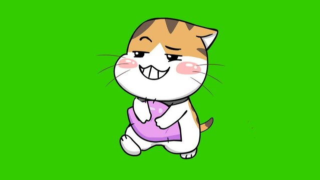 chuckle animation, funny cat on green screen