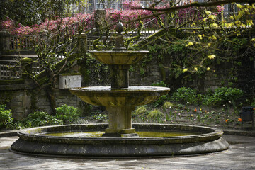 fuente en el parque - obrazy, fototapety, plakaty