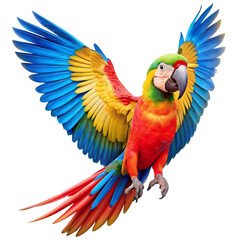 Macaw parrot in flight pose, isolated on clear background.