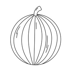 Cartoon Watermelon line Icon.
