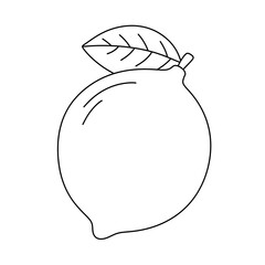 Cartoon Lemon line Icon.