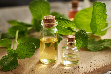 Two transparent glass bottles of aromatherapy essential oil with fresh peppermint leaves