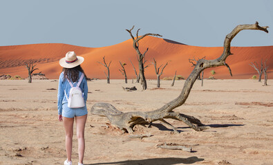 A beautiful woman in a white hat and mini jean shorts walks towards dead trees in Dead Vlei - Sossusvlei, Namib desert, Namibia