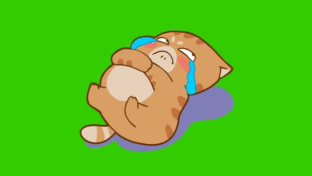 sulk animation, funny cat on green screen