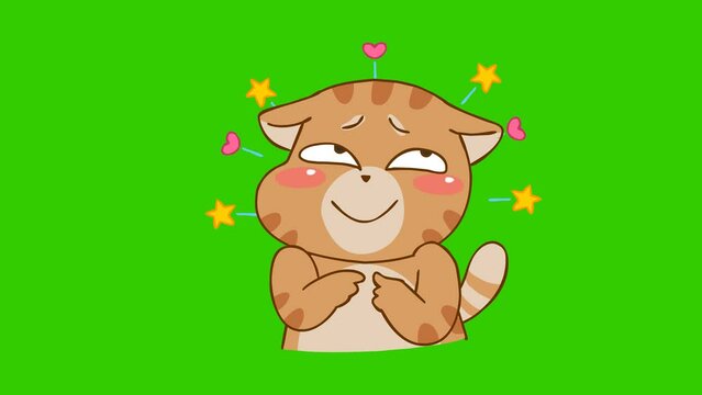 timid animation, funny cat on green screen