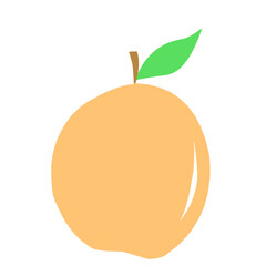 Hand Drawn Different Fruits