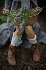 rosemary basket in a hands
