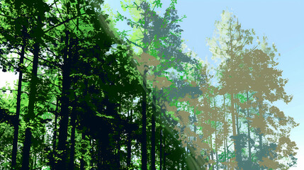 Fototapeta premium Forest. Carbon sink. Stylized illustration of a forest. Copy Space. Background