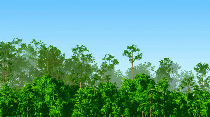 Forest. Carbon sink. Stylized illustration of a forest. Copy Space. Background