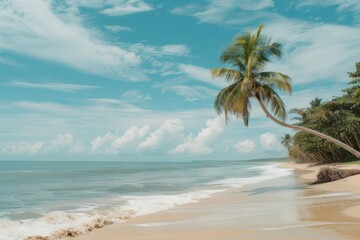 Fototapeta premium Tropical beach and palm trees, The Maldives, Indian Ocean