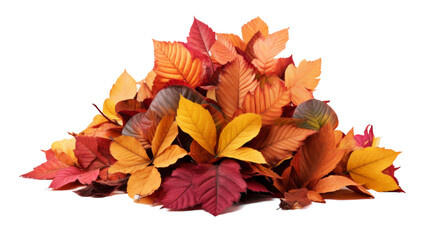 A vibrant bouquet of colorful leaves floating gracefully on a pristine white background