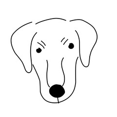Hand Drawn Cartoon Dog Face