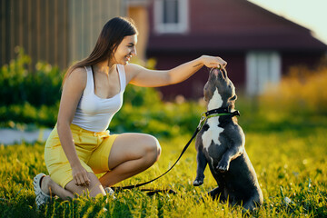 Smiling European woman in her 20s is training an American Bully on lawn behind farmhouse during...