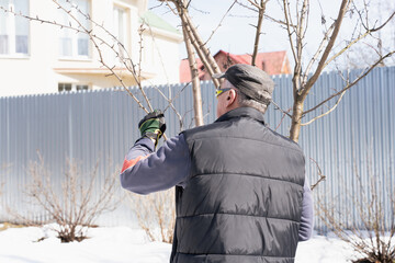 a man in a vest, cap, safety glasses and gardening gloves trims the branches of a fruit tree in the...