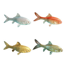 Four colorful fish in a row on Transparent Background - obrazy, fototapety, plakaty