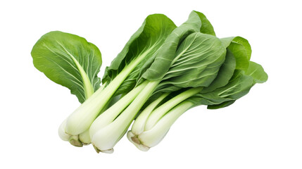 A vibrant assortment of green leafy vegetables set against a clean white background