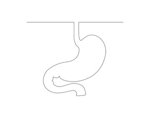 Continuous one line drawing of anatomical human stomach. One line of human stomach. organs body parts concept continuous line art. Editable outline.