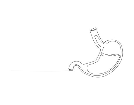 single line drawing of human stomach clip art preview