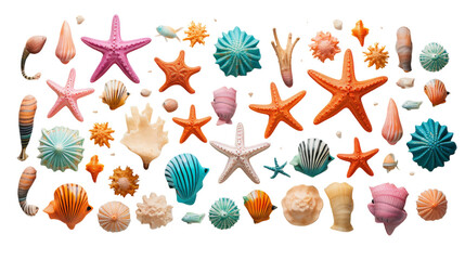 Fototapeta na wymiar A group of sea shells and starfish scattered on a white background