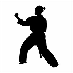 Fototapeta na wymiar Silhouette of martial arts, karate, silat