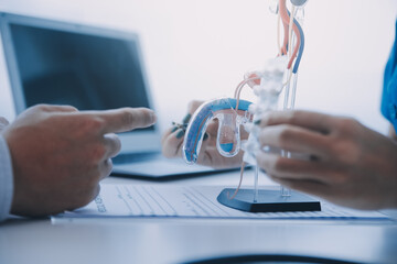 Doctor uses anatomical model to explain male urinary system. Model labeled with parts, doctor...