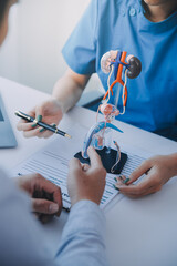 Doctor uses anatomical model to explain male urinary system. Model labeled with parts, doctor...