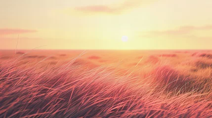 Poster campo plano de capim, ao longe o dourado do por do sol, ton de core pêssego pastel © Raul