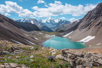 Most beautiful turquoise alpine lake among sheer crags against snow-covered range with few pointy peaks. Flowers on grass among sharp stones and azure mountain lake against three snowy peaked tops.