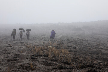 A hiking grouping walking along the Lemosho route on Mount Kilimanjaro.