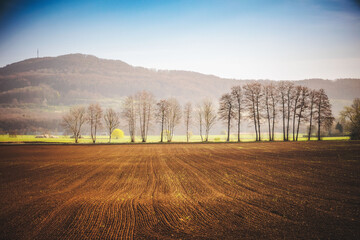 Wandern in den Hügeln und Wäldern im schönen Oberfranken in einer reizenden Landschaft im April...