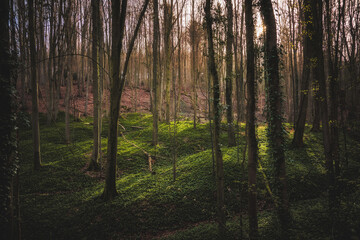 Wandern in den Hügeln und Wäldern im schönen Oberfranken in einer reizenden Landschaft im April...