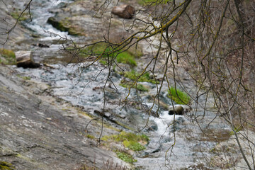 Closeup of the water flowing over rocks in an stream with greenery and branch in the front,...