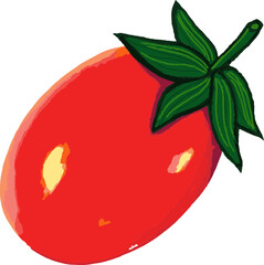 illustration of a tomato