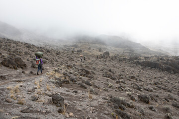 A porter carries the goods to the next camp site along the Lemosho route on Mount kilimanjaro.