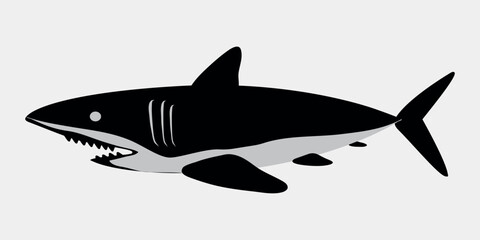 Dangerous shark logo. Vector on gray background