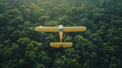 ultralight aircraft flying over a lush forest, personal flight and freedom, HD, 4K