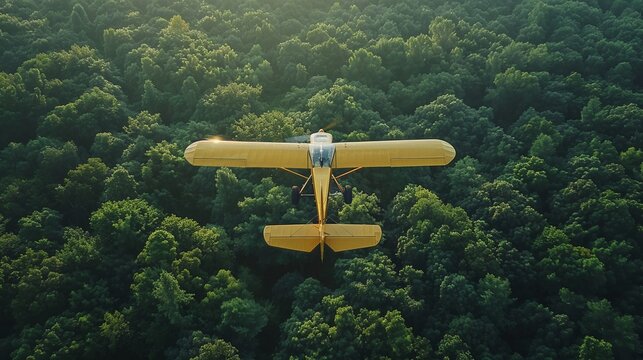 ultralight aircraft flying over a lush forest, personal flight and freedom, HD, 4K