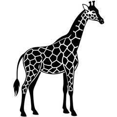 zebra silhouette vector illustration svg file