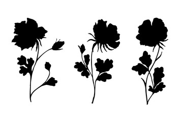 Set of botanical elements, silhouettes of chamomile wildflowers.Vector graphics.