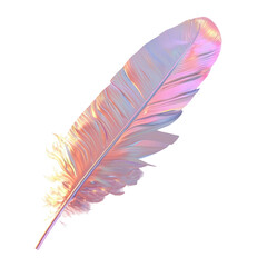 A feather close-up on a Transparent Background