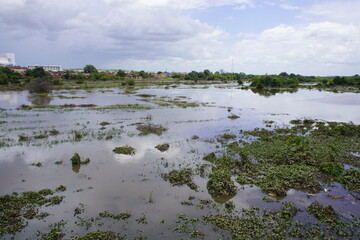 
The Acaraú River in Sobral. Ceara, Brazil.
