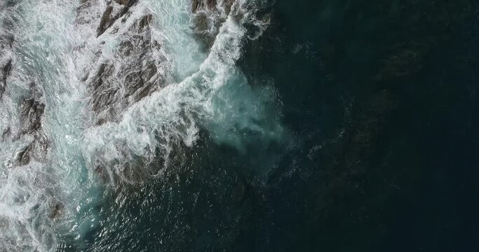 Olas