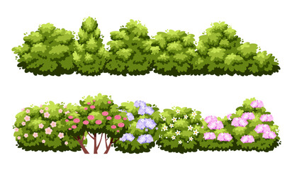 Cartoon green hedge. Decorative bush borders isolated on white background, garden flowering plants, roses and lilacs, beautiful shrubby trees, summertime park botanical decor, vector concept