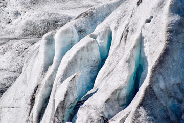 Glacier Kenai Fjords National Park, Alaska, USA.